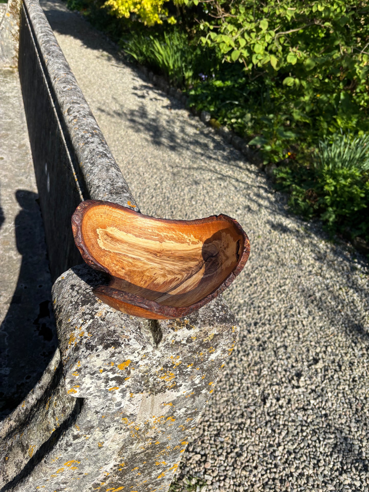 Oak bowl