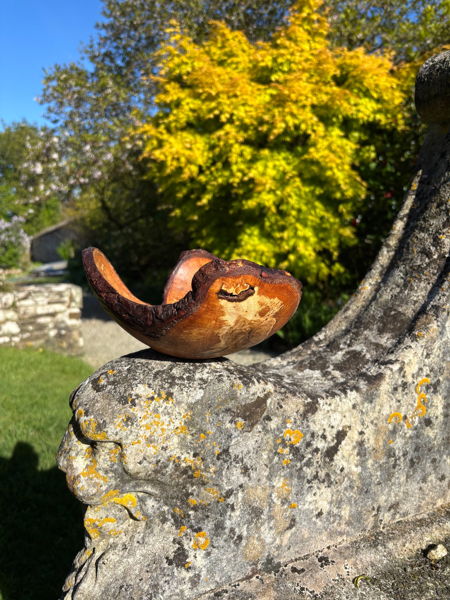 Oak bowl