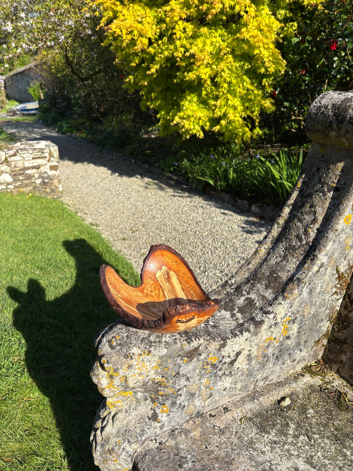 Oak bowl