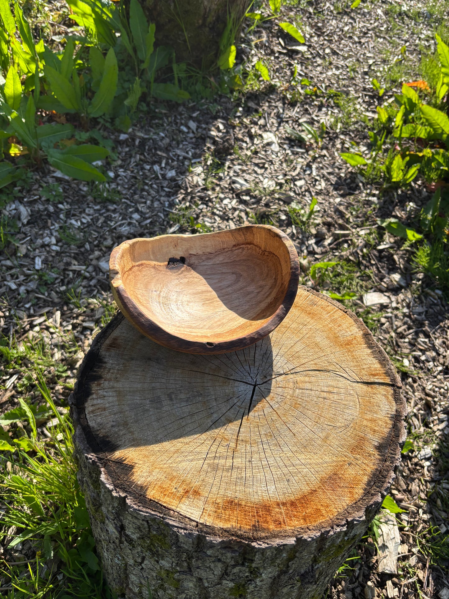 Live edge oak bowl