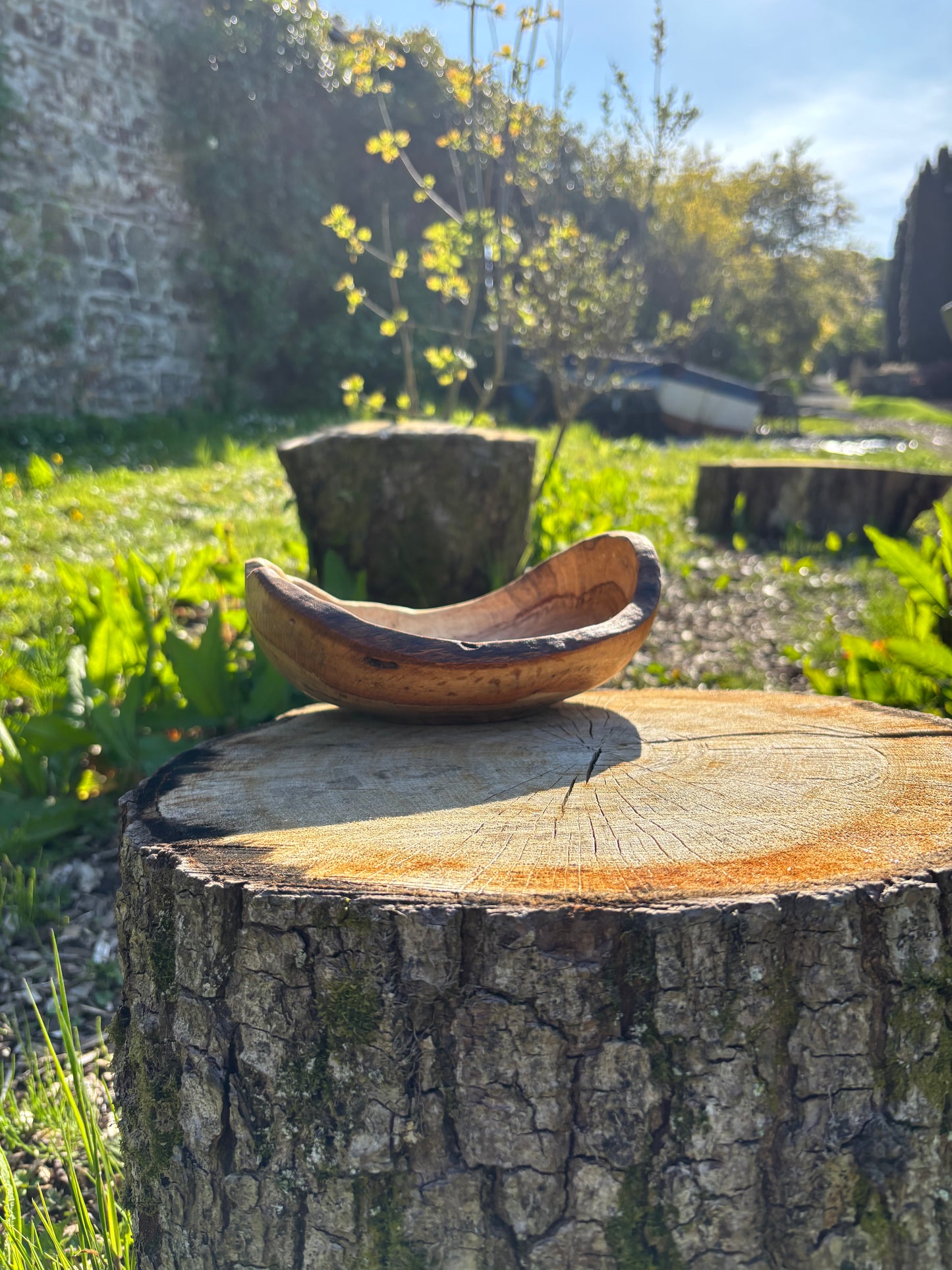 Live edge oak bowl