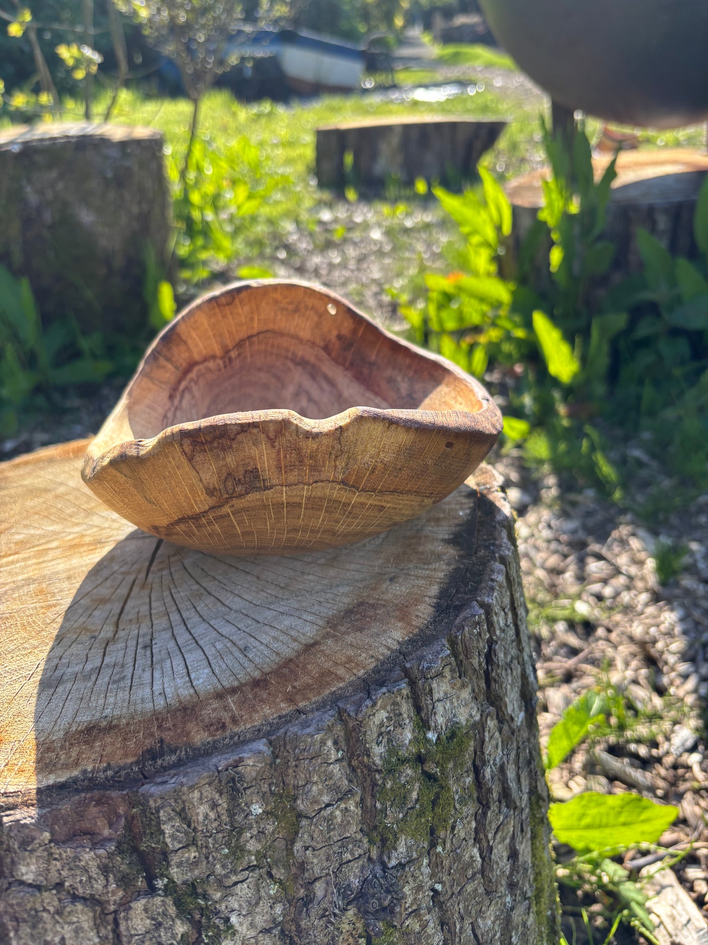 Live edge oak bowl