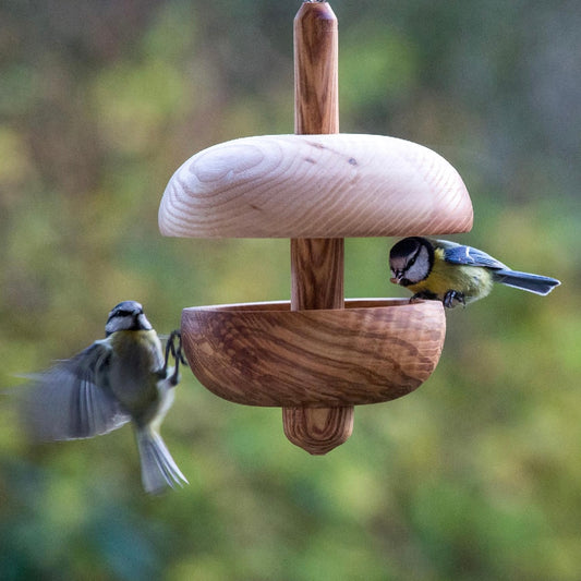 Bird Feeder