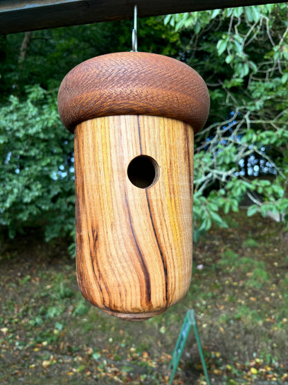 Bird House