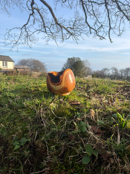 Live Edge bowl