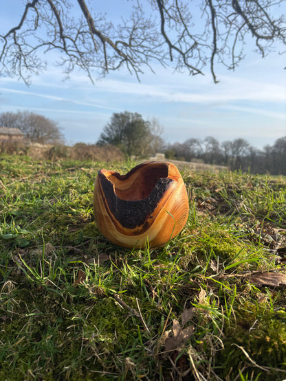 Live Edge bowl
