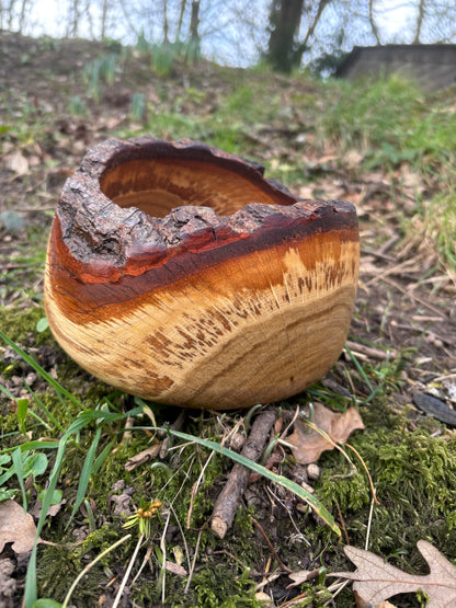 Live edge Oak bowl