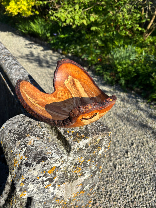 Oak bowl