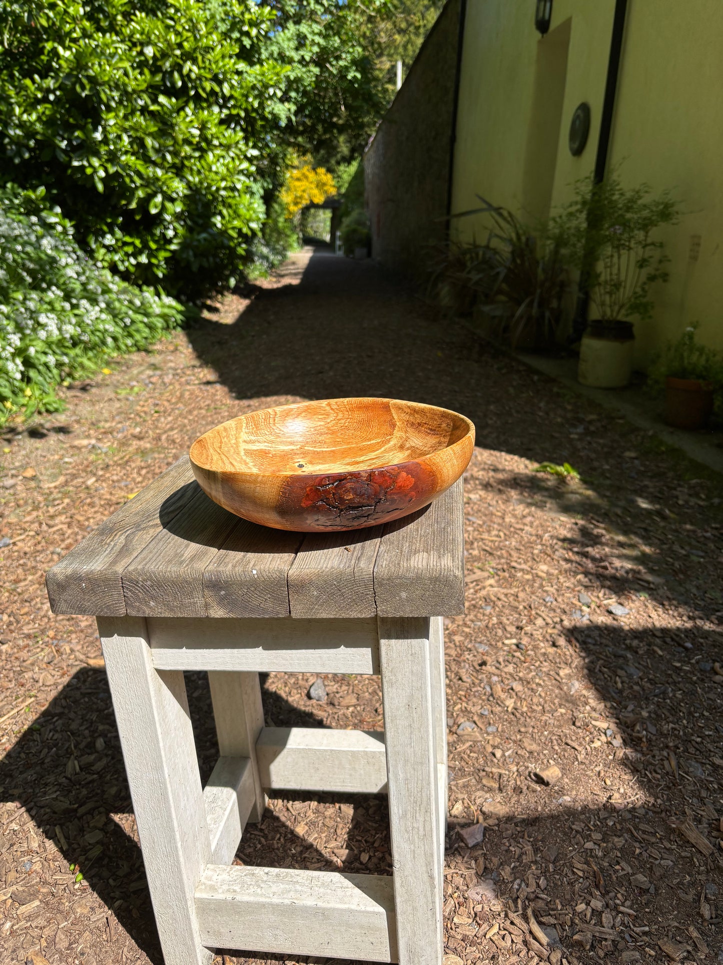 Live oak fruit bowl