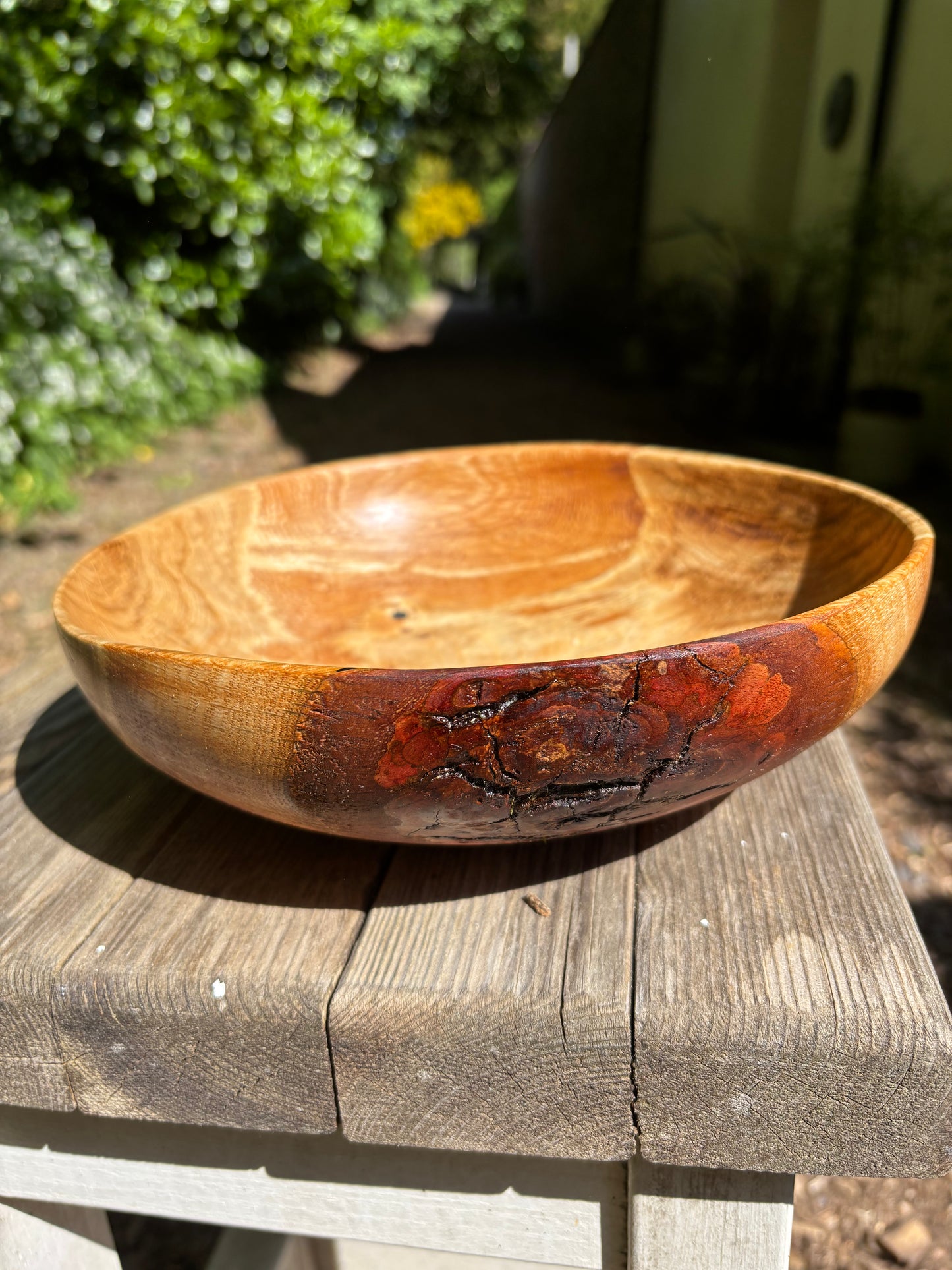 Live oak fruit bowl