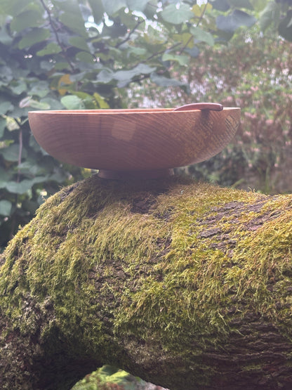 Noodle Bowl