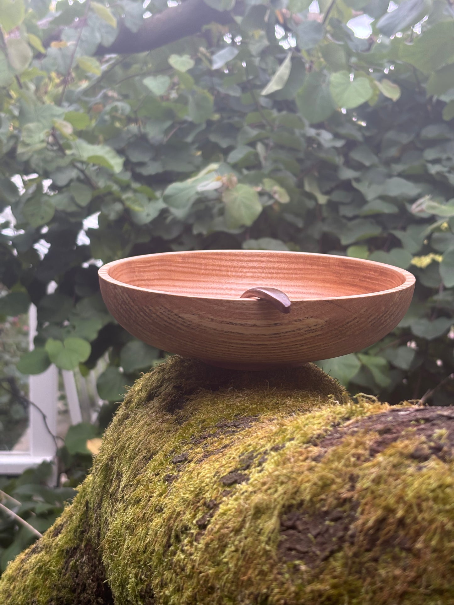 Noodle Bowl