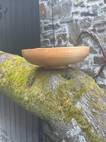 Noodle Bowl