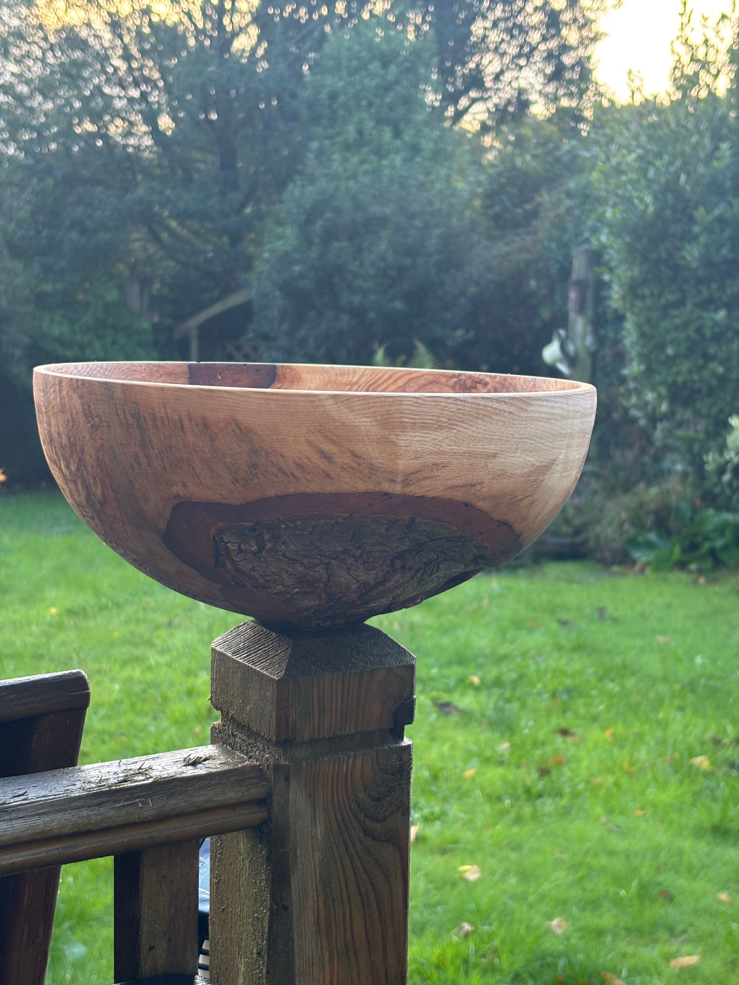 Handcrafted Ash rootball Bowl – Unique Natural Wood Grain