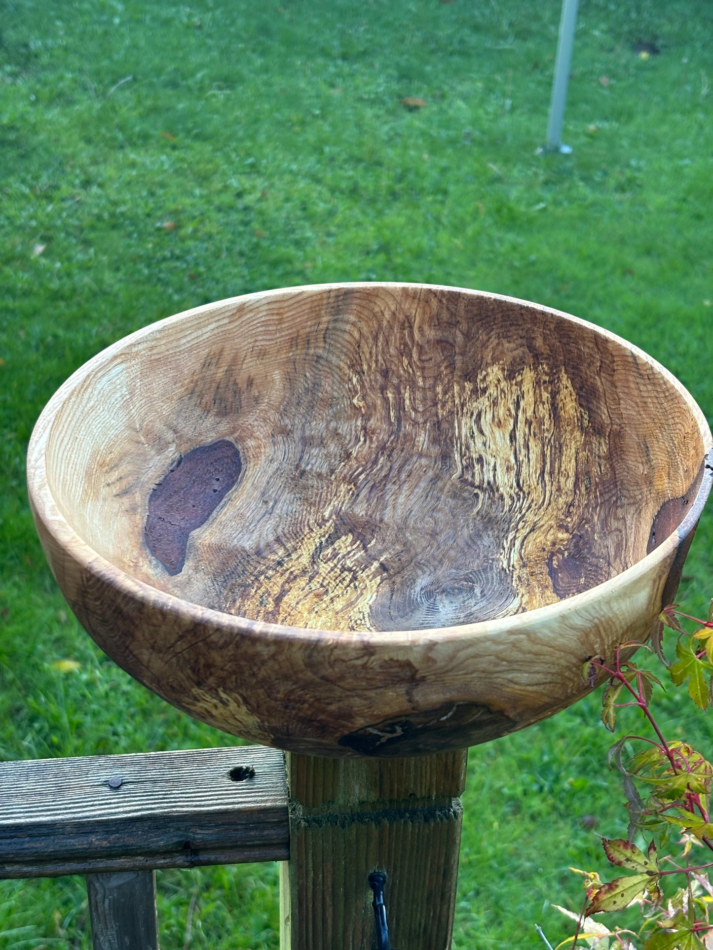 Handcrafted Ash rootball Bowl – Unique Natural Wood Grain
