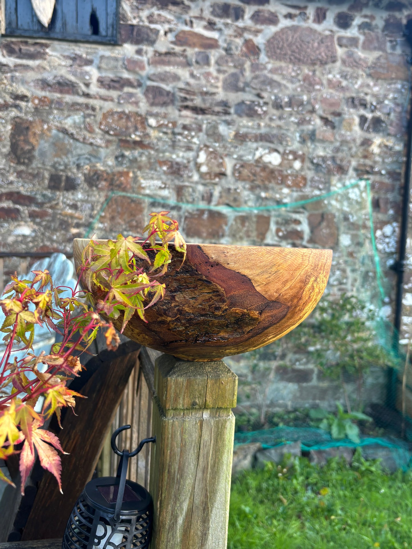 Handcrafted Ash rootball Bowl – Unique Natural Wood Grain