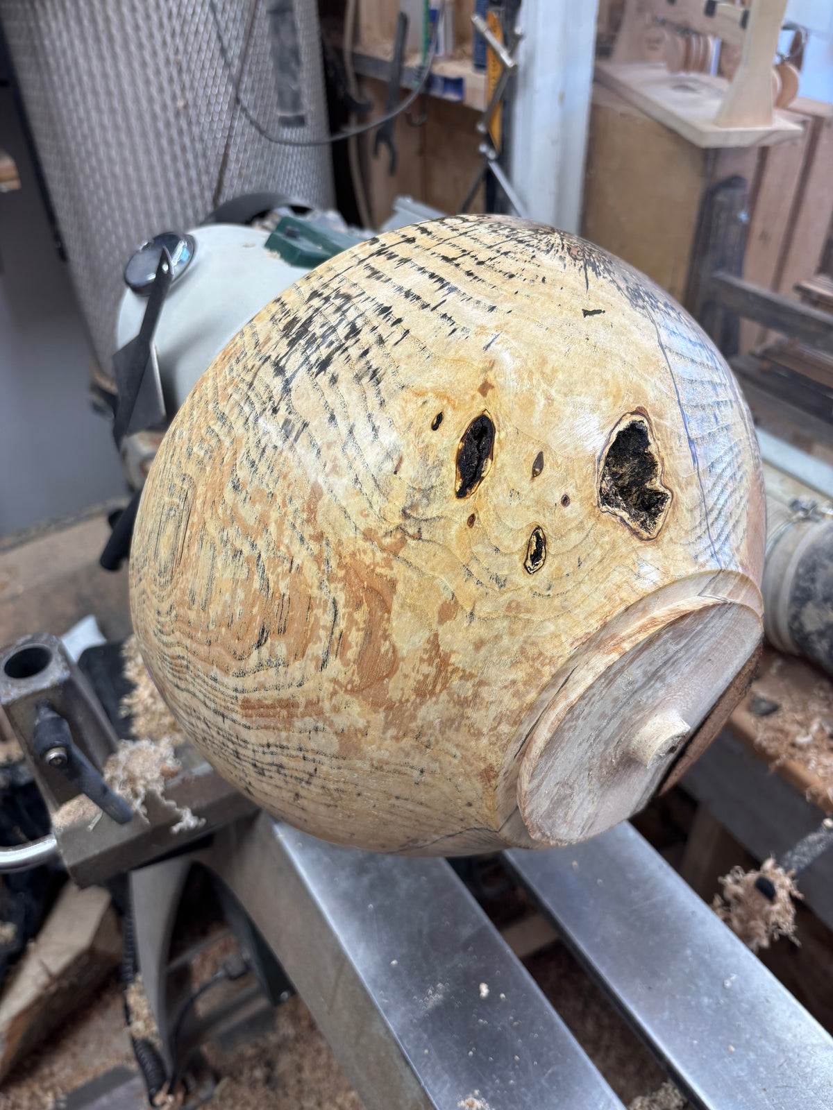 Spalted Ash Fruit/Salad Bowl