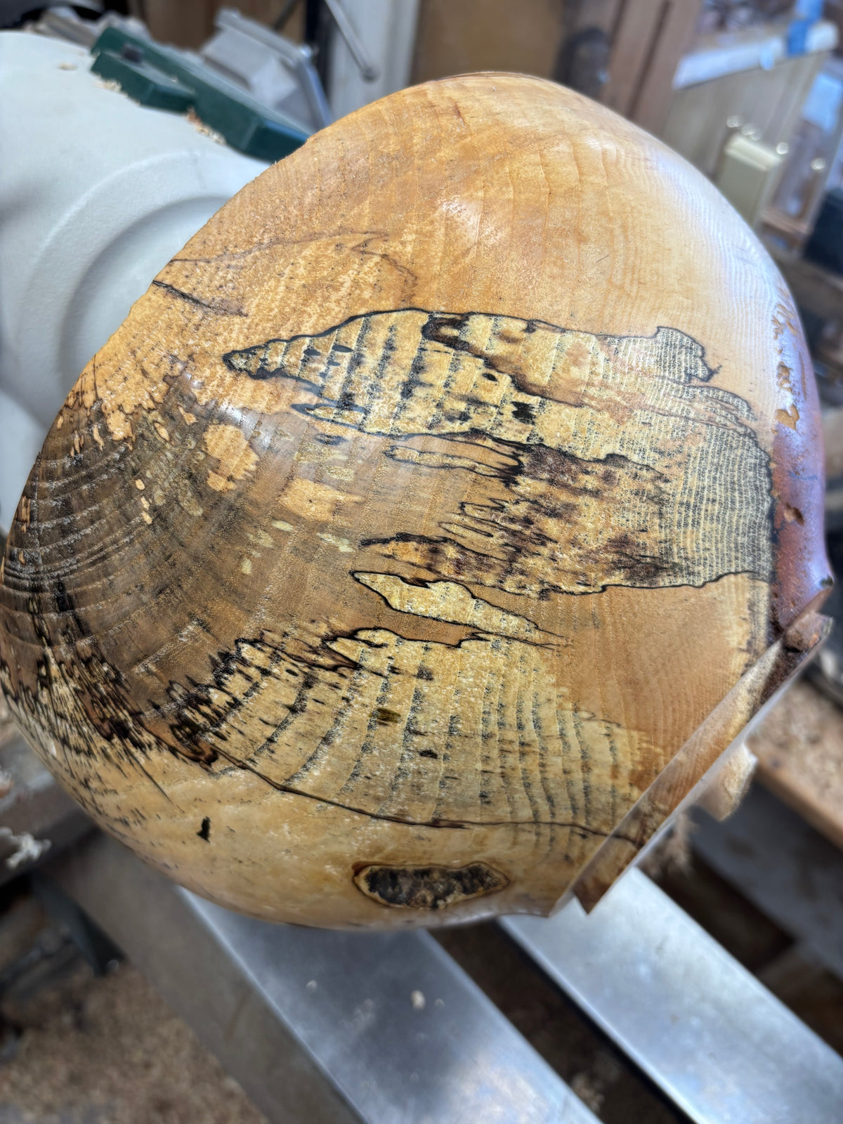 Spalted Ash Fruit/Salad Bowl